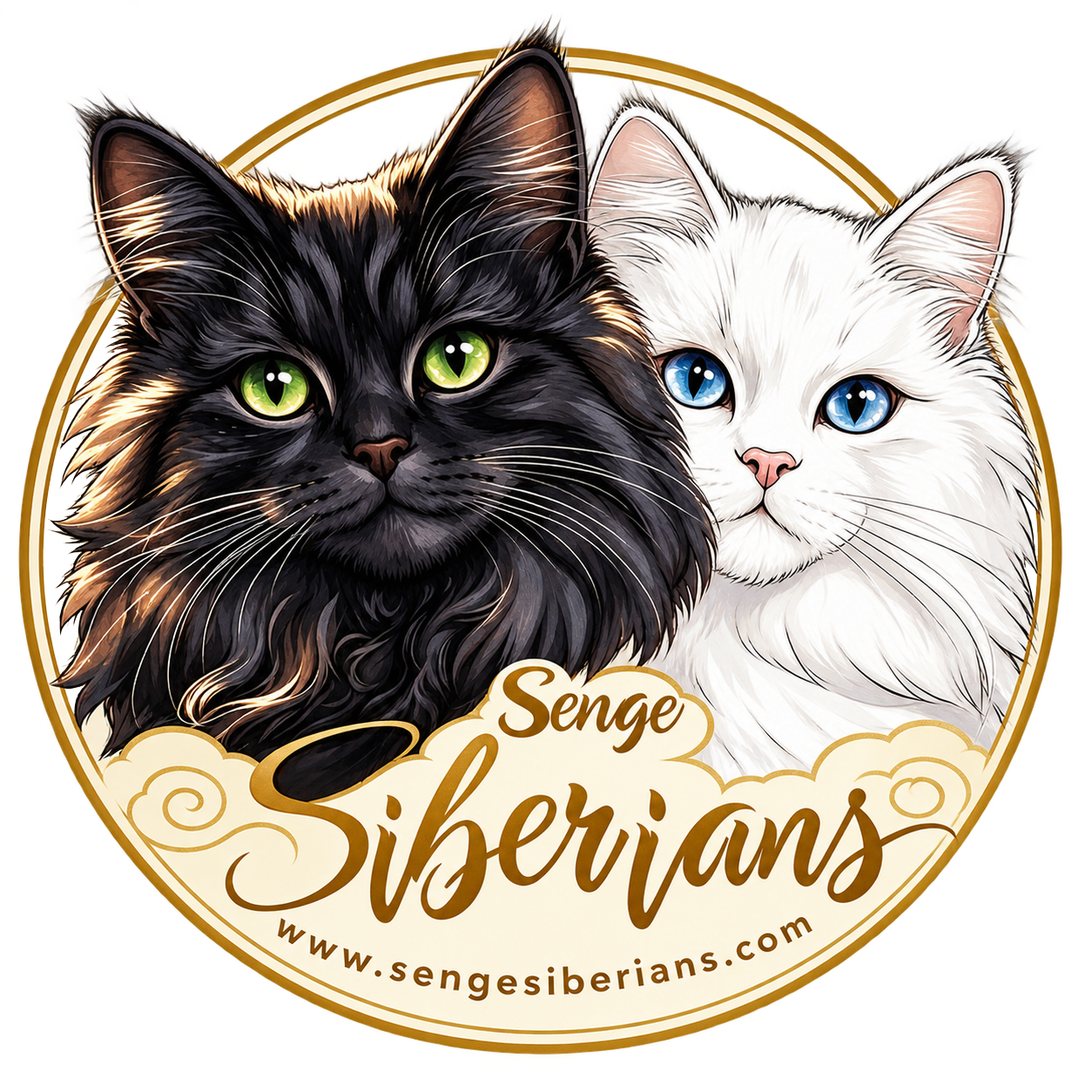Senge Siberians