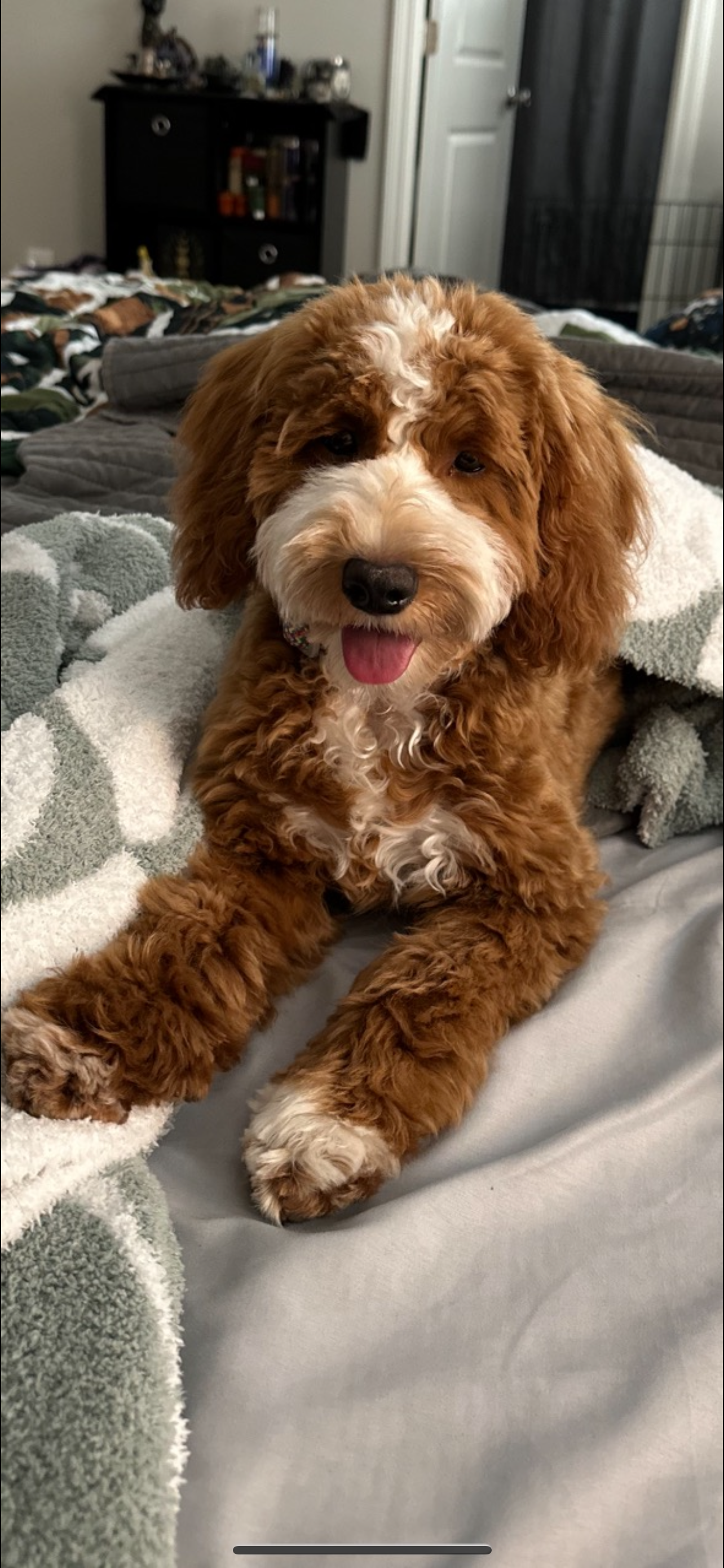 Nugget