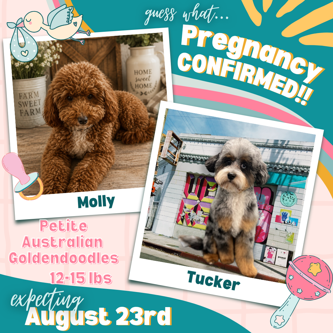 Molly x Tucker