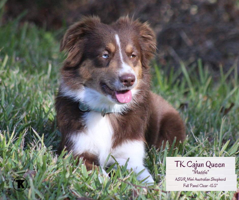TK Cajun Queen