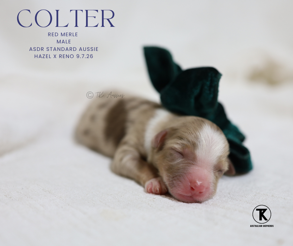Colter RMM1