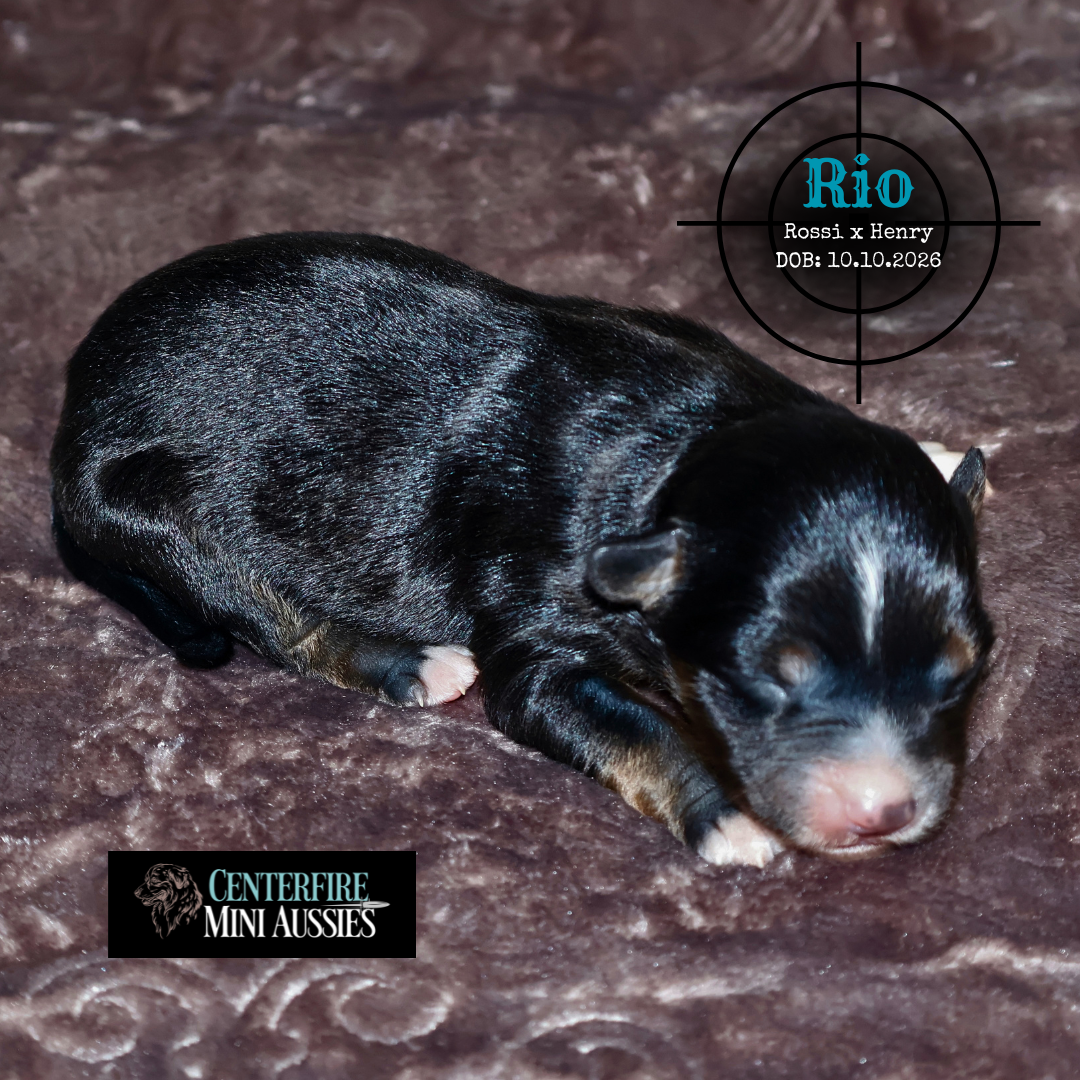 Rio
