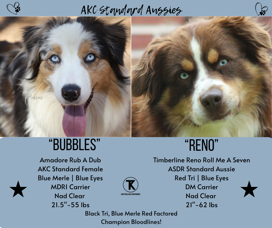 2026.11. Amadore Rub A Dub x Timberline Reno Roll Me A Seven, Summer 2026