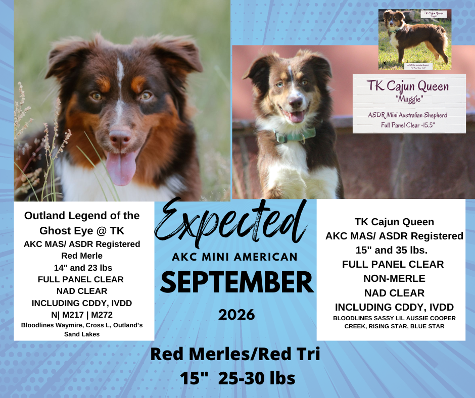 2026.09.22 TK Cajun Queen x Outland's Legend of the Ghost Eye @ TK, Summer 2026