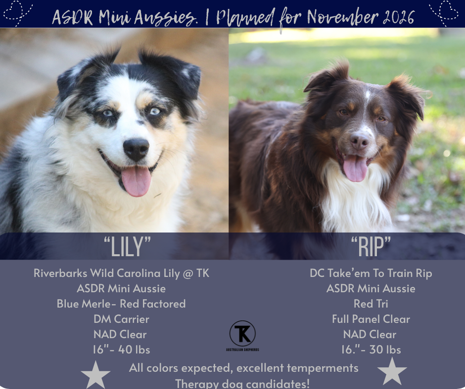 2026.11 Riverbarks Wild Carolina Lily x DC Take'em To The Train Rip @ TK, Summer 2026