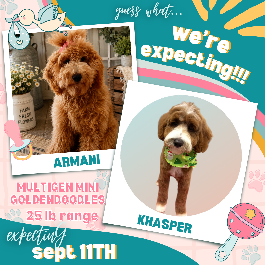 Armani x Khasper