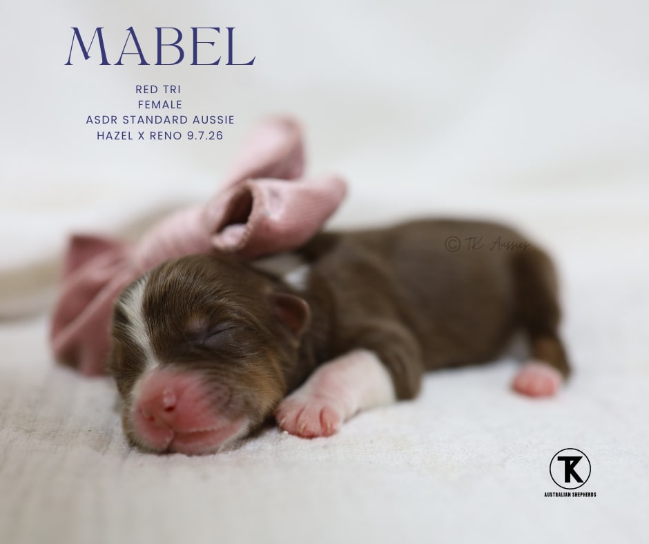 Mabel RTF7