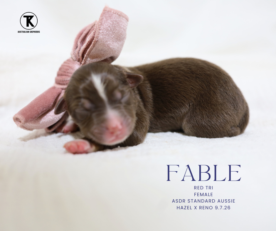 Fable -RTF3