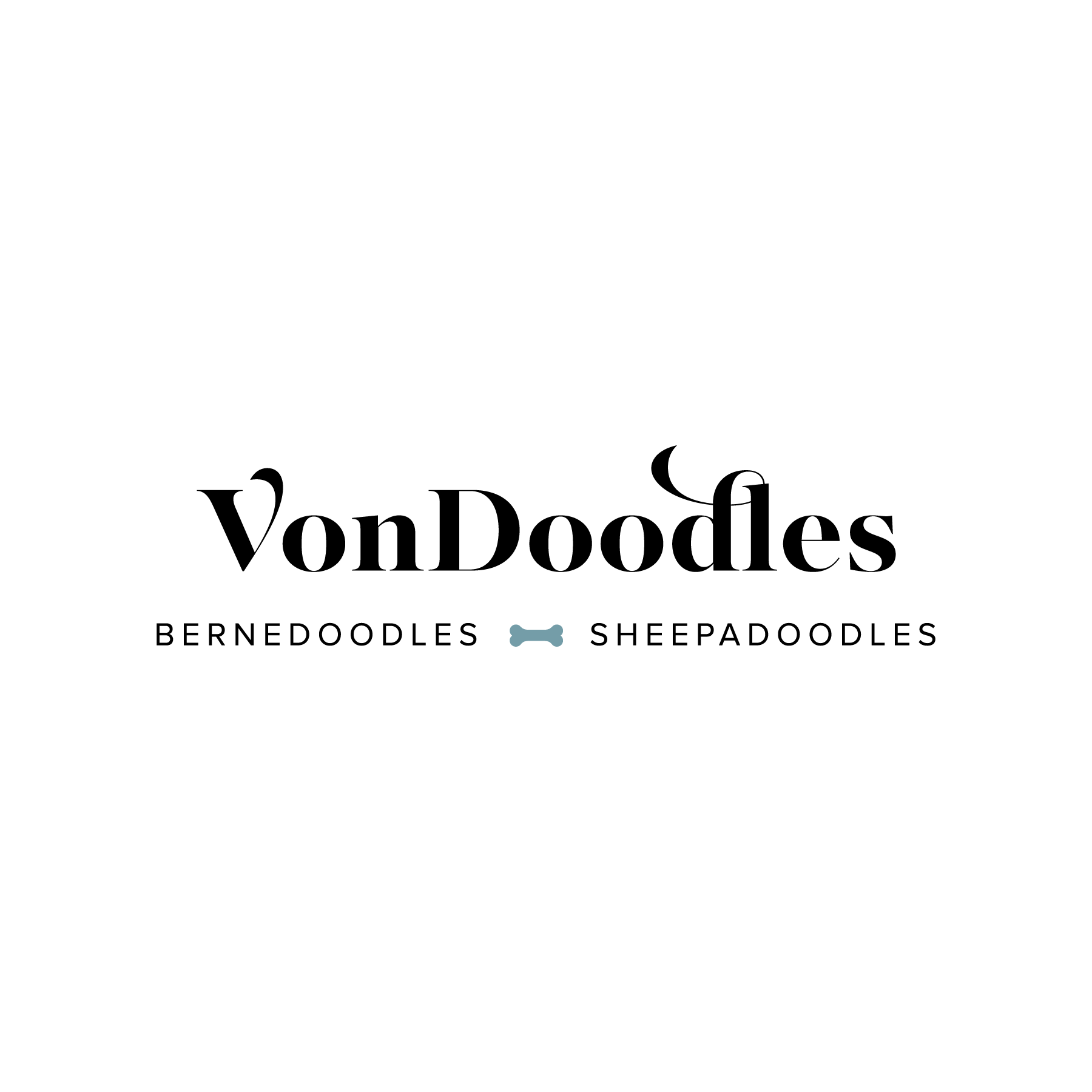 Vondoodles Bernedoodles & Sheepadoodles, verified breeder