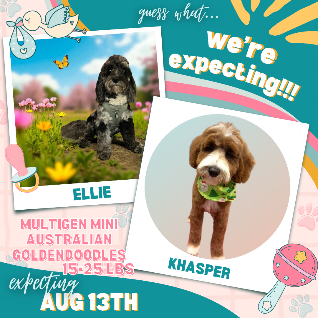 Ellie x Khasper