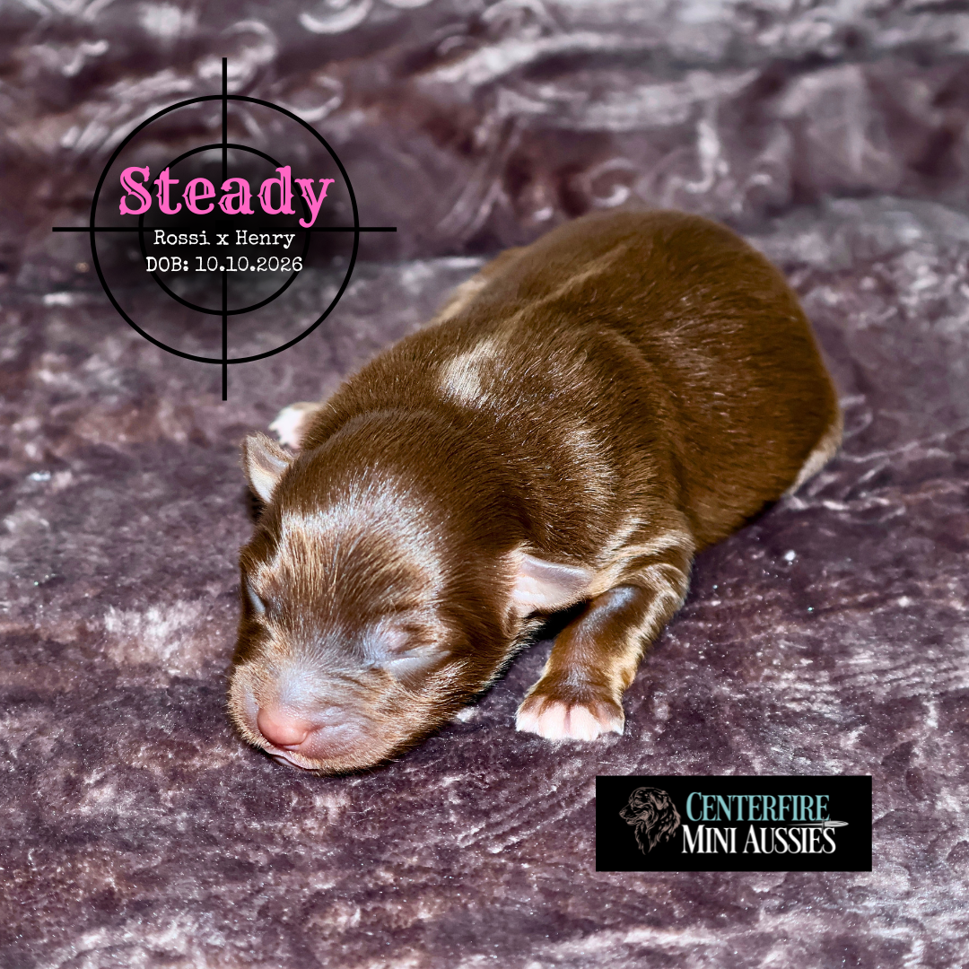 Steady