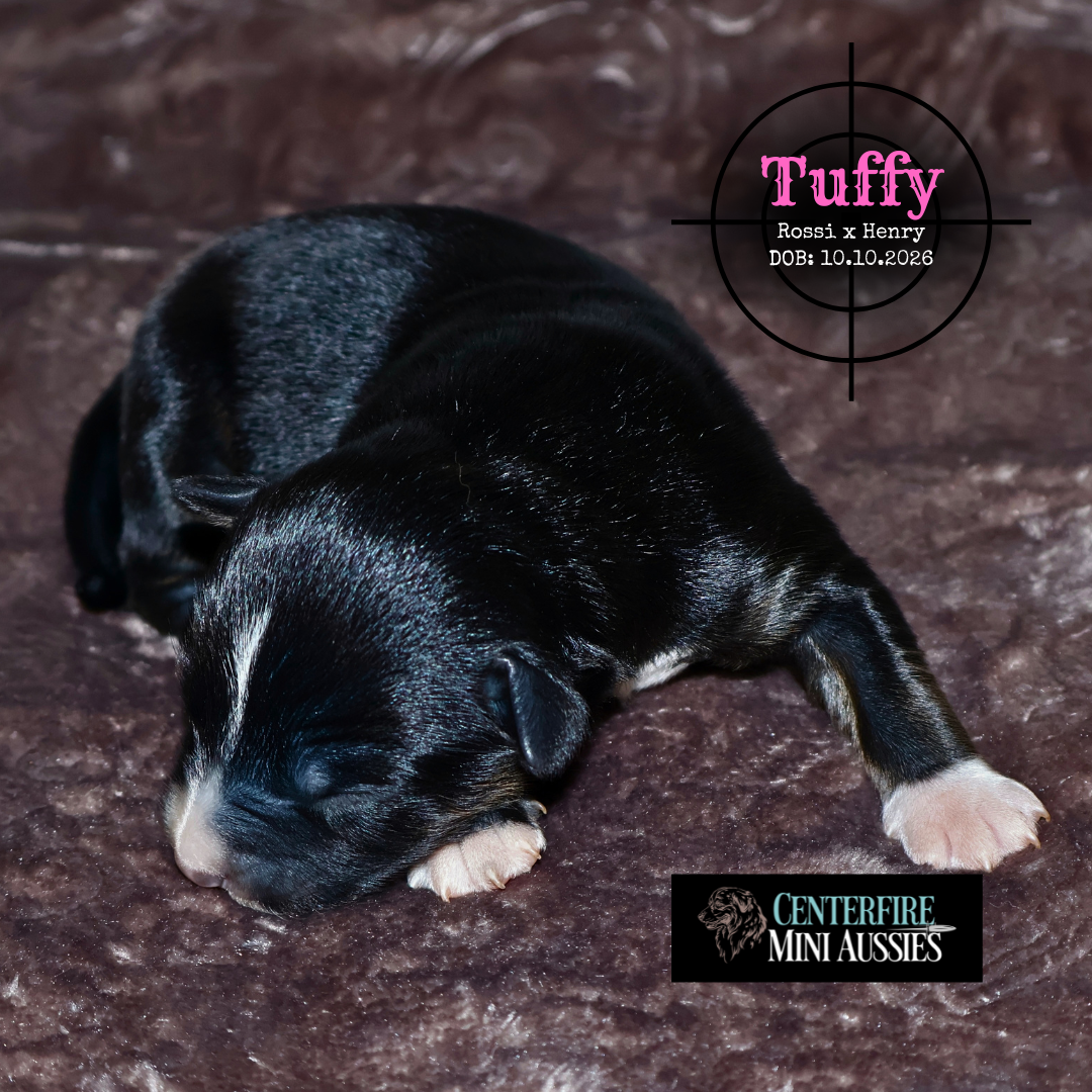 Tuffy