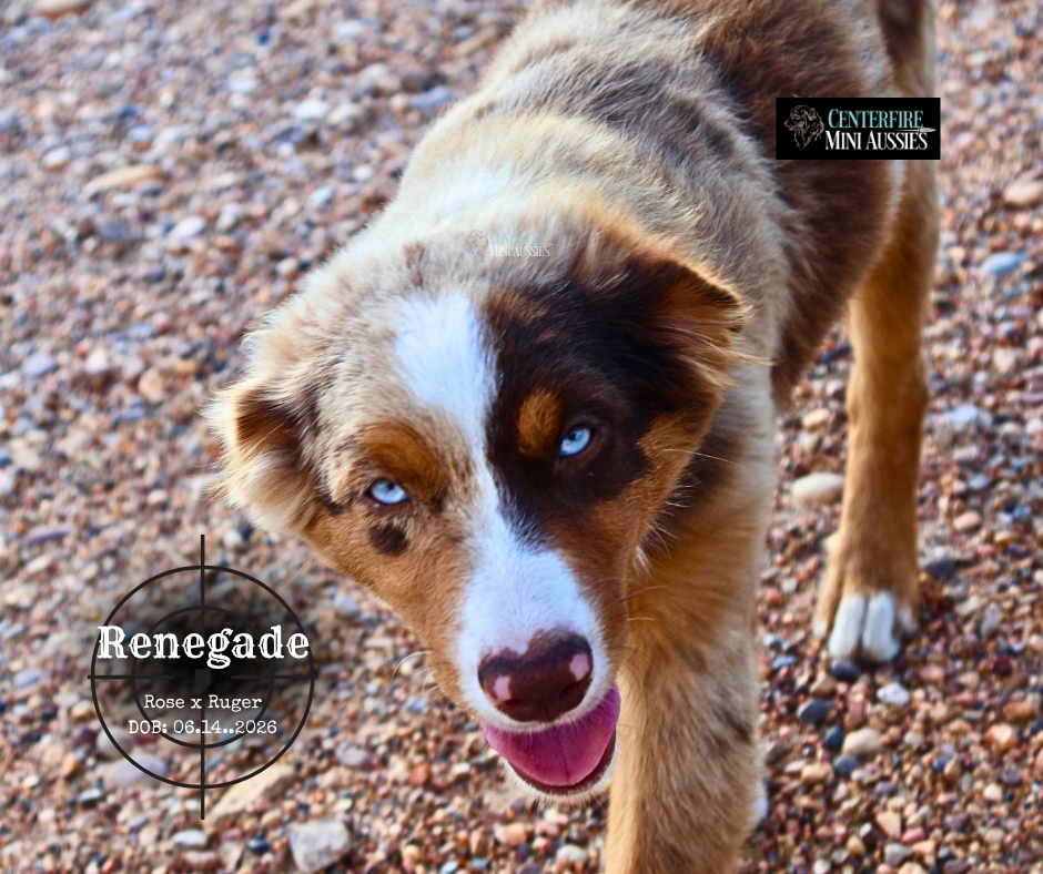 Renegade