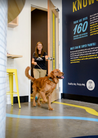Scenthound - COMING SOON! Olathe (119th & Blackbob) - 6