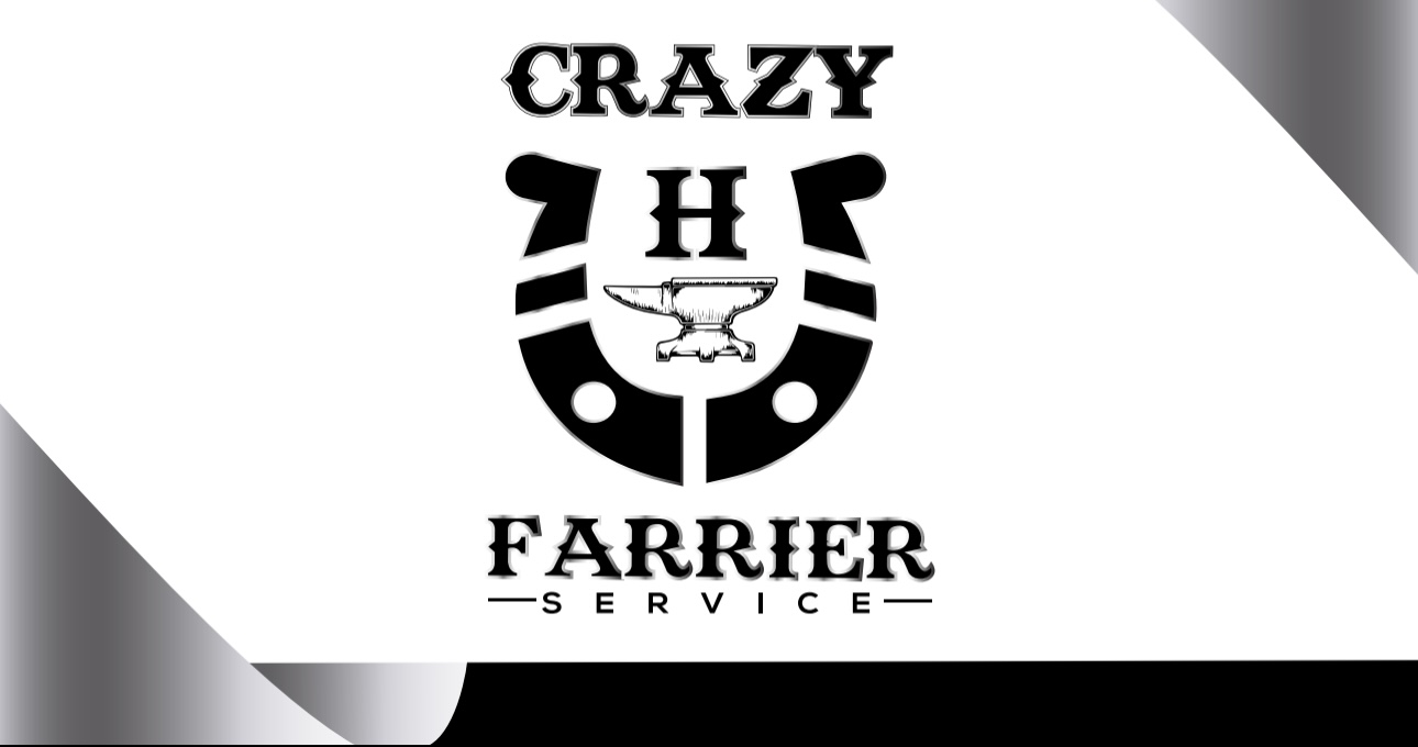 Crazy H Farrier Service — service provider