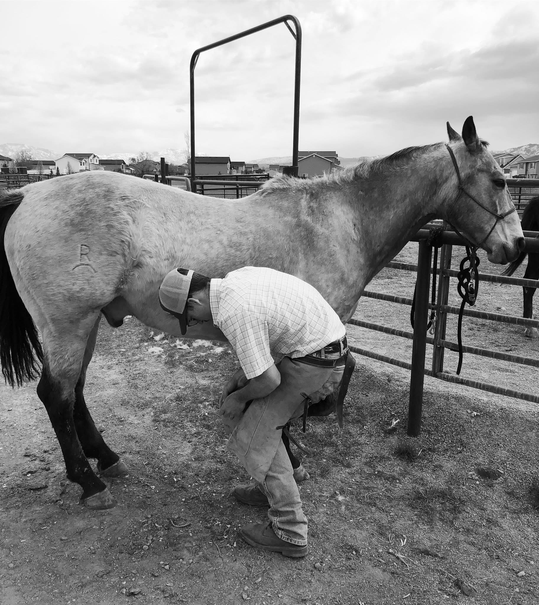 Farrier Services You Can Count On - 8
